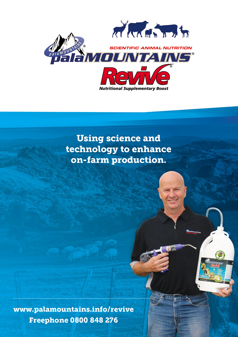 palaMOUNTAINS Product Brochure Design