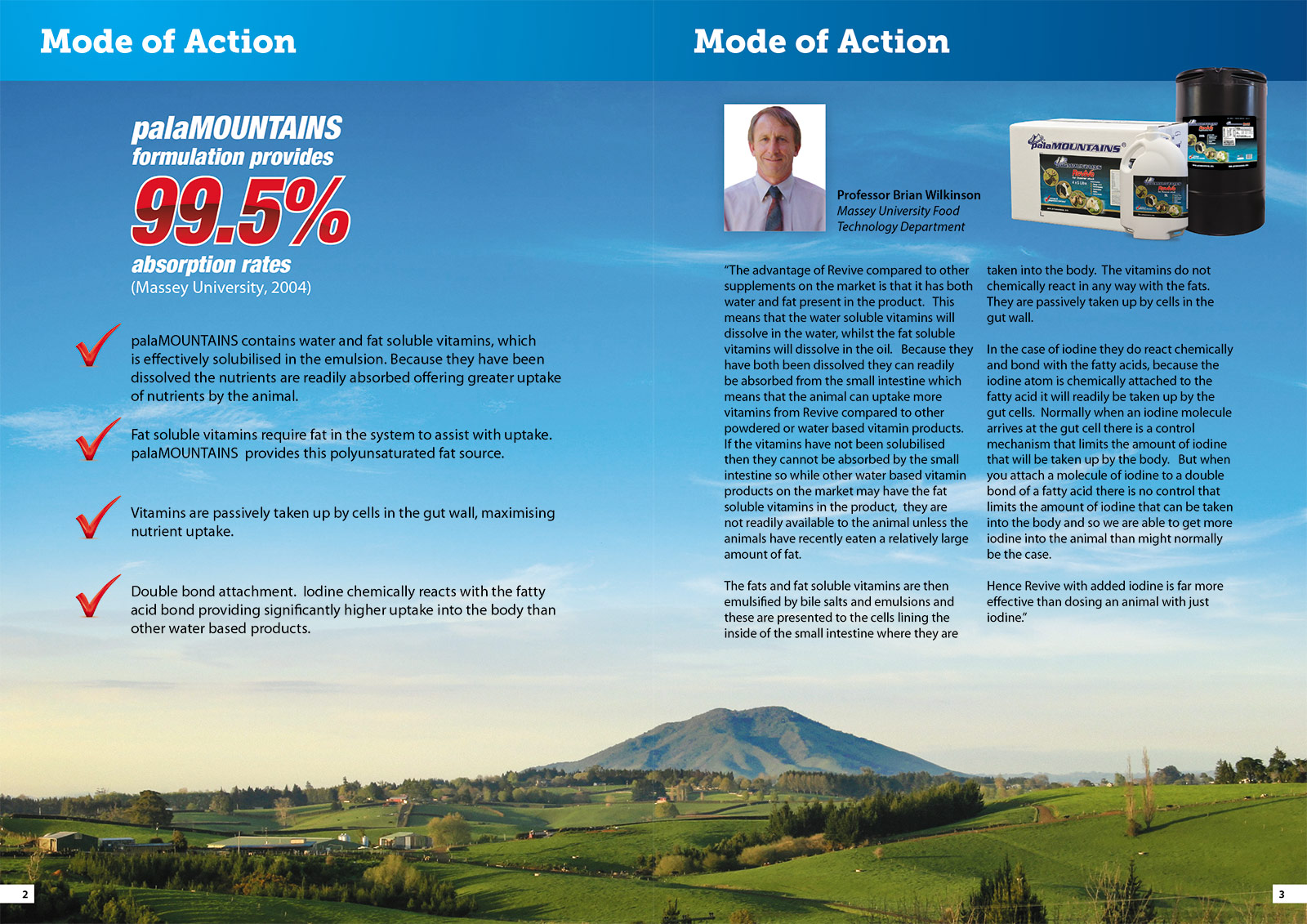 palaMOUNTAINS Product Brochure Design