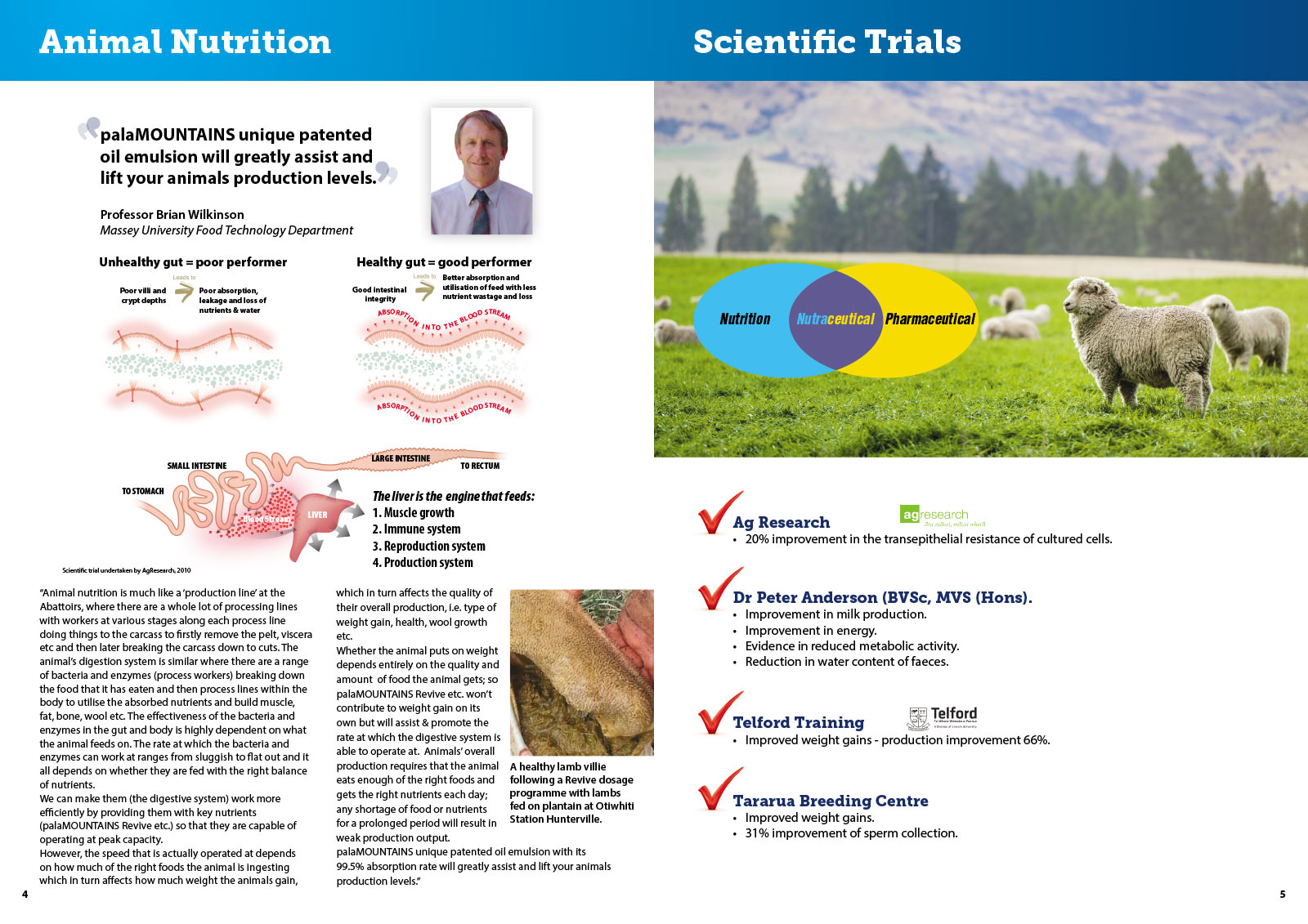 palaMOUNTAINS Product Brochure Design