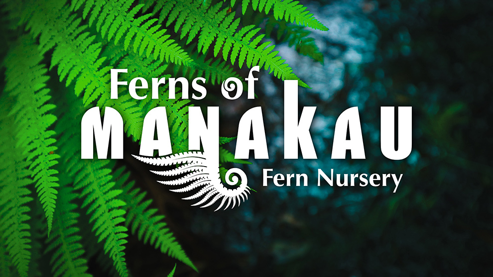Ferns of Manakau Brand Development