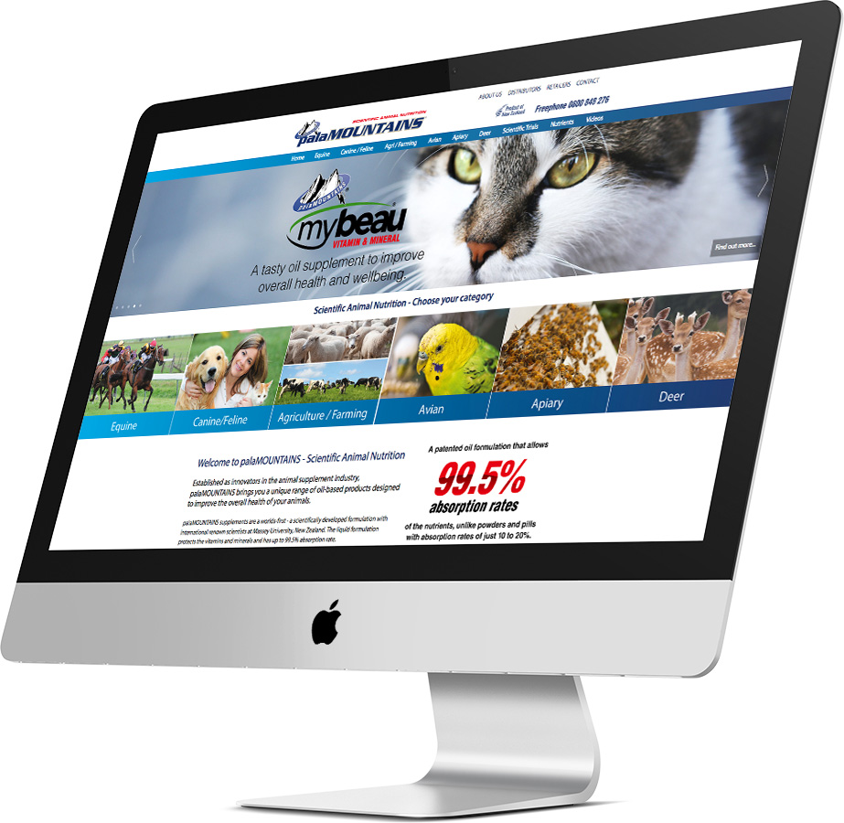 palaMOUNTAINS Website Design & Development